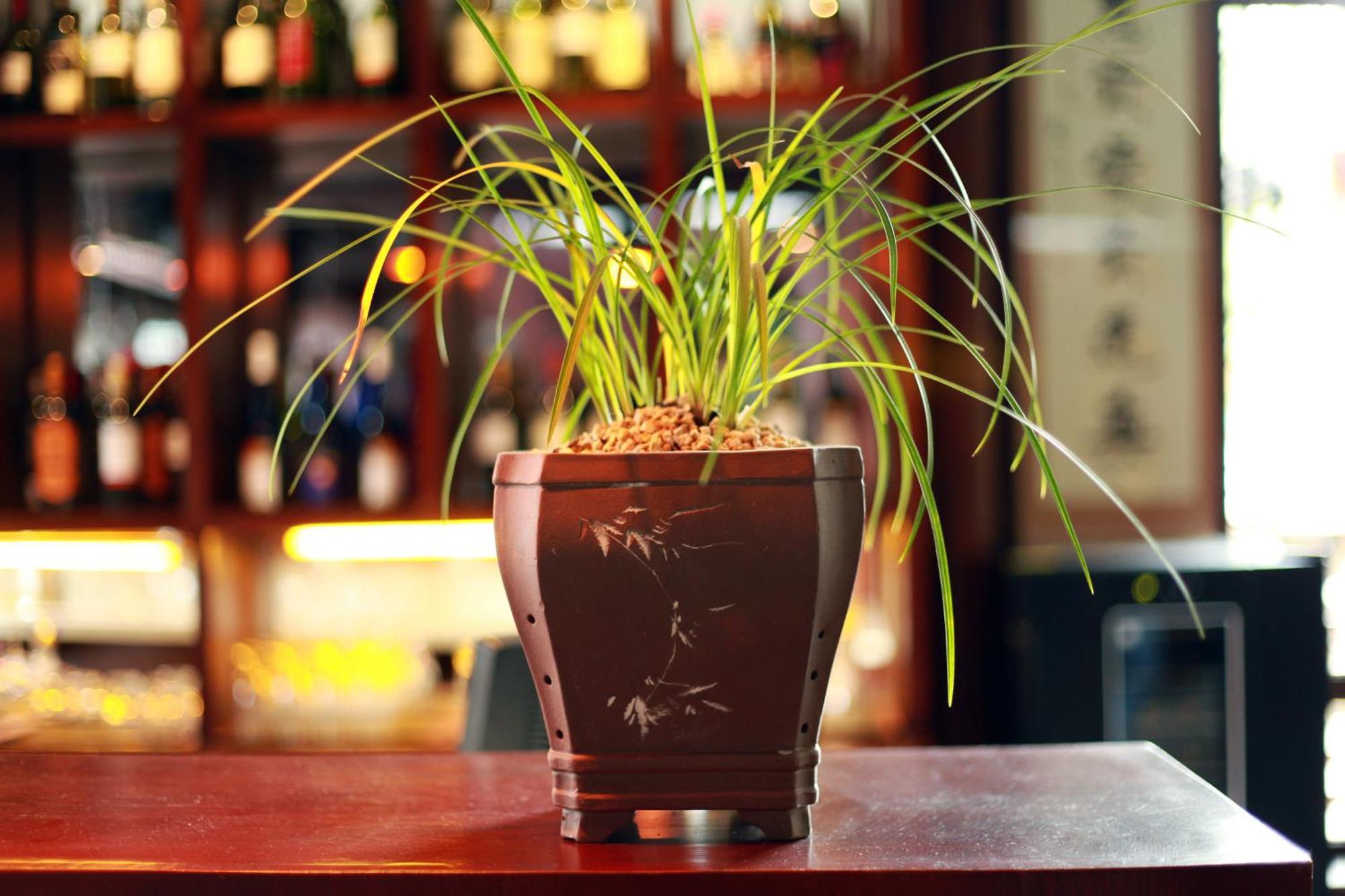 Jun Bo Xuan Boutique Hotel 리장 외부 사진